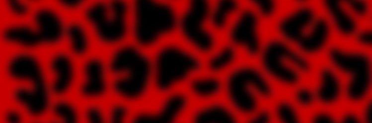 p4ranoid banner