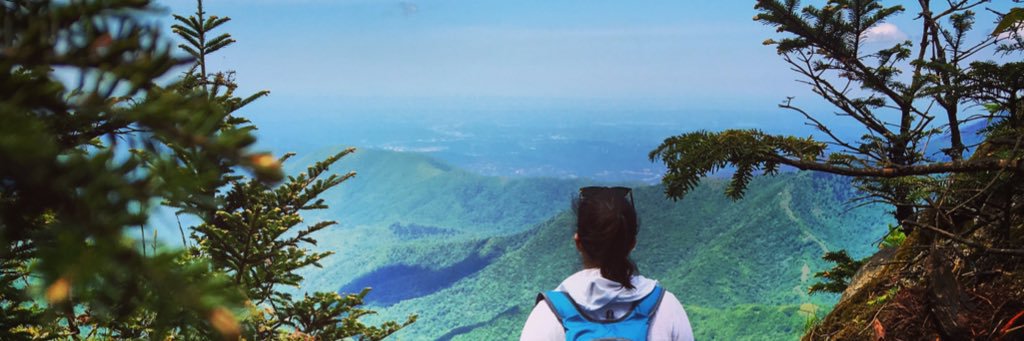 Lirish22's profile banner image
