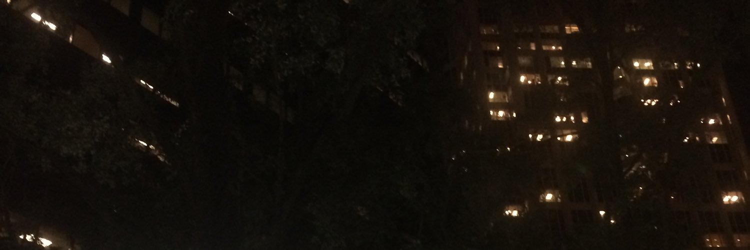mchinchillin's profile banner image