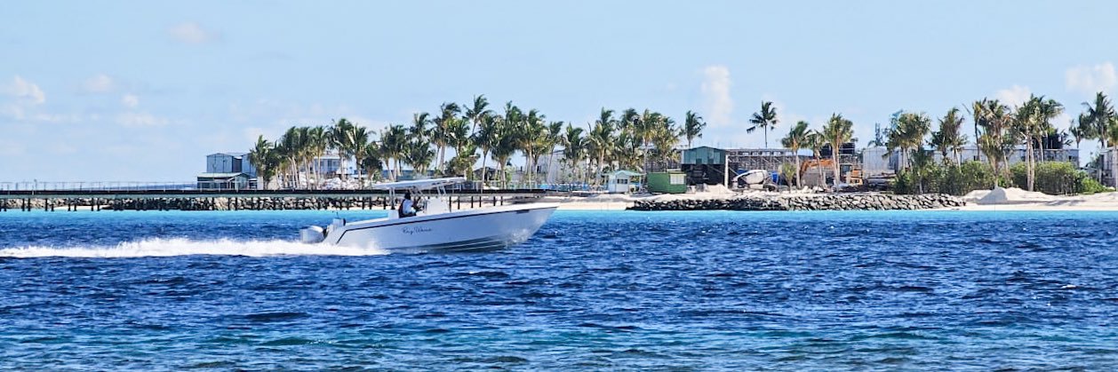 HEAD SEAS banner