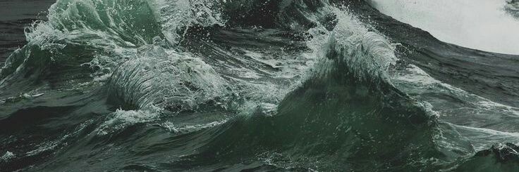 savageandwise's profile banner image