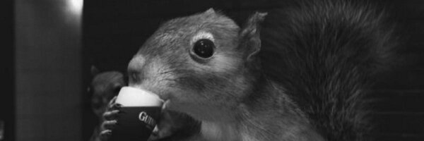 slightlydrunk Profile Banner