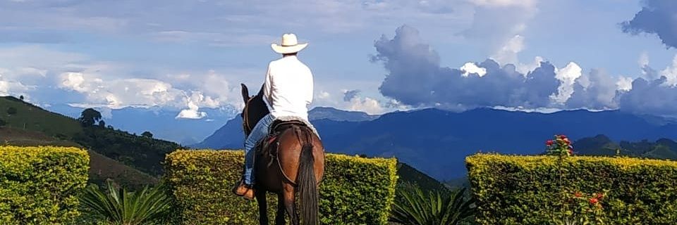 Felipegb23's profile banner image