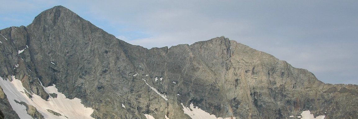 O Gato Bonito banner