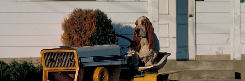 woofsson's profile banner image