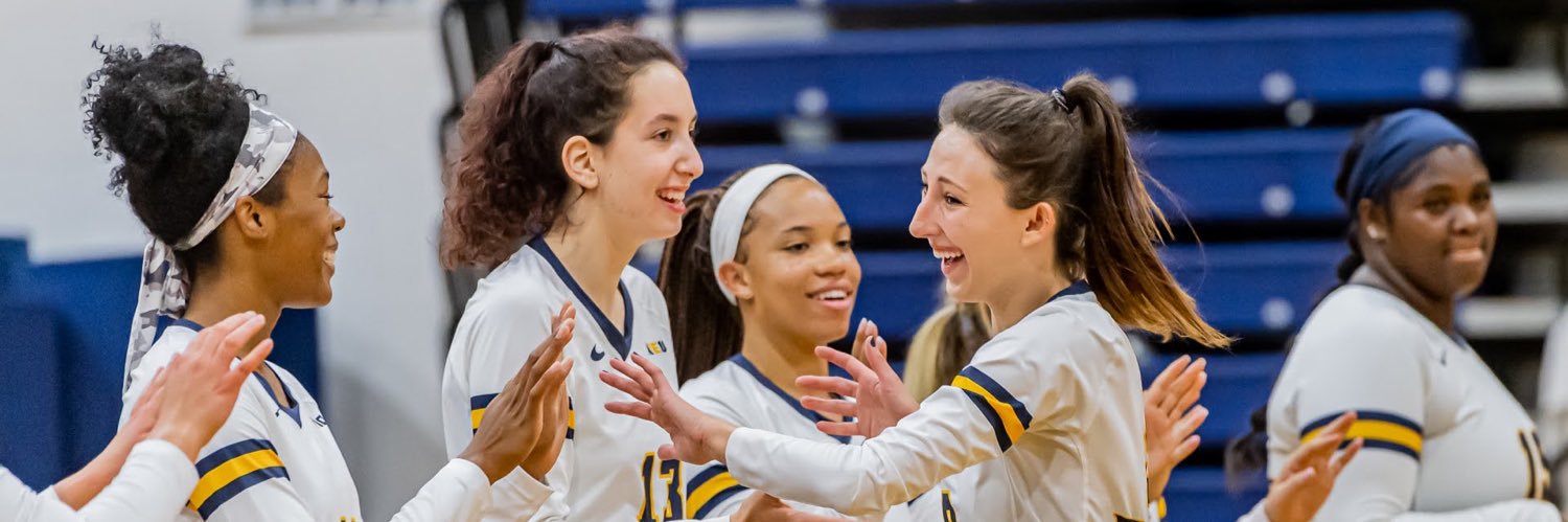 Pace Volleyball banner