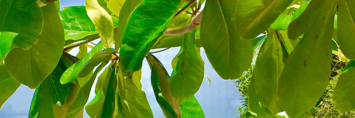 mmariagustin's profile banner image