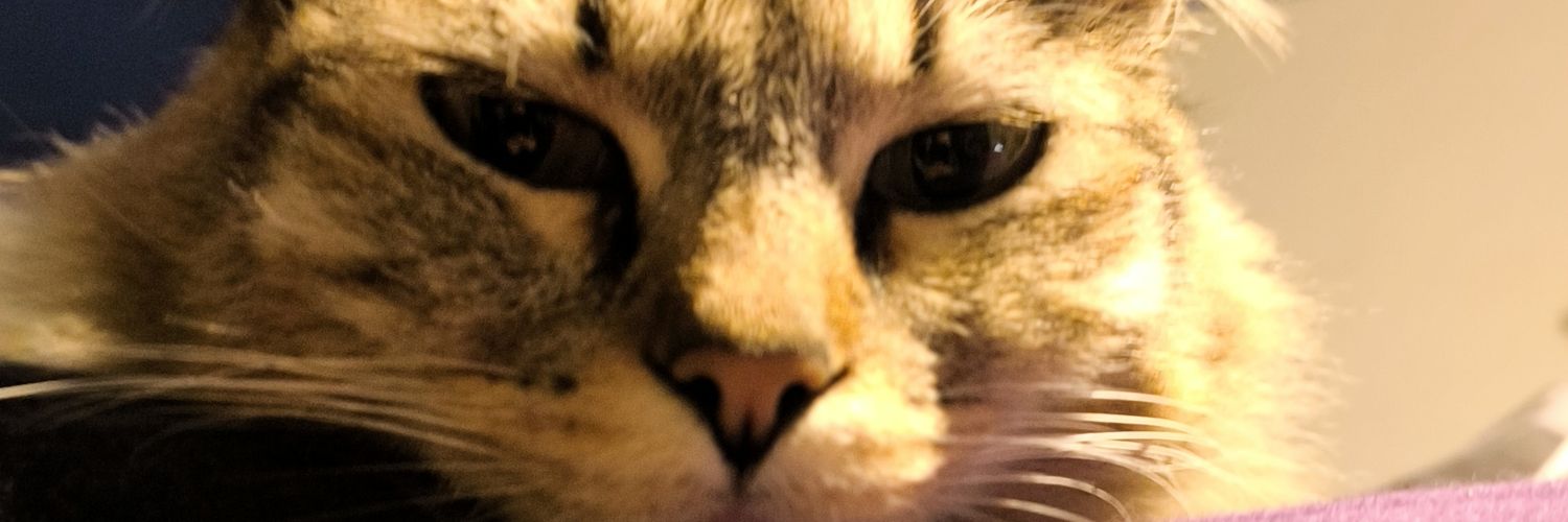 Luismoraz's profile banner image