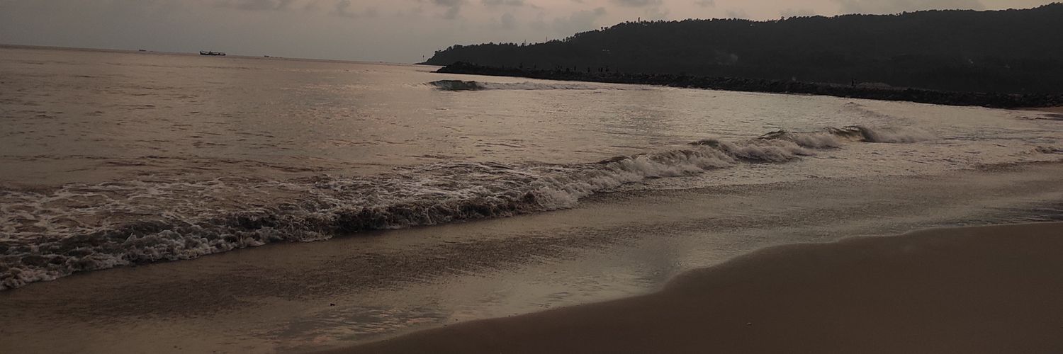 _waiiwaii's profile banner image