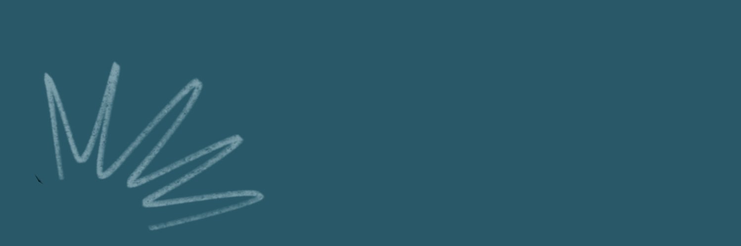 shay/sol (BFDIxII WA 7/26, 6 PM)'s banner