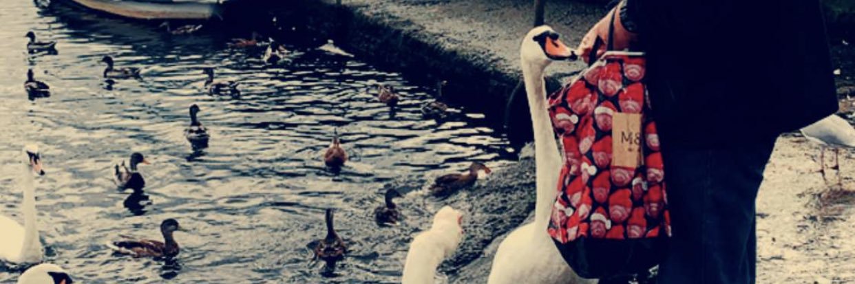 7keem15's profile banner image