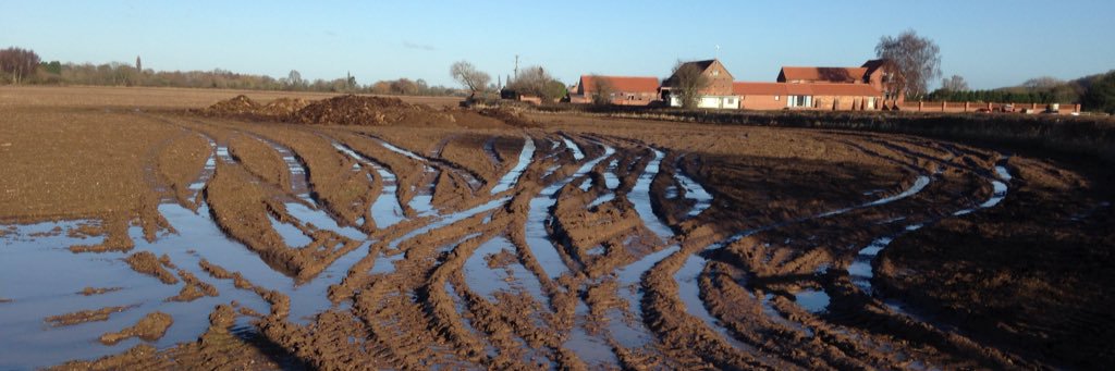 Peter Lyth. 🇪🇺 🚂 🦅 banner