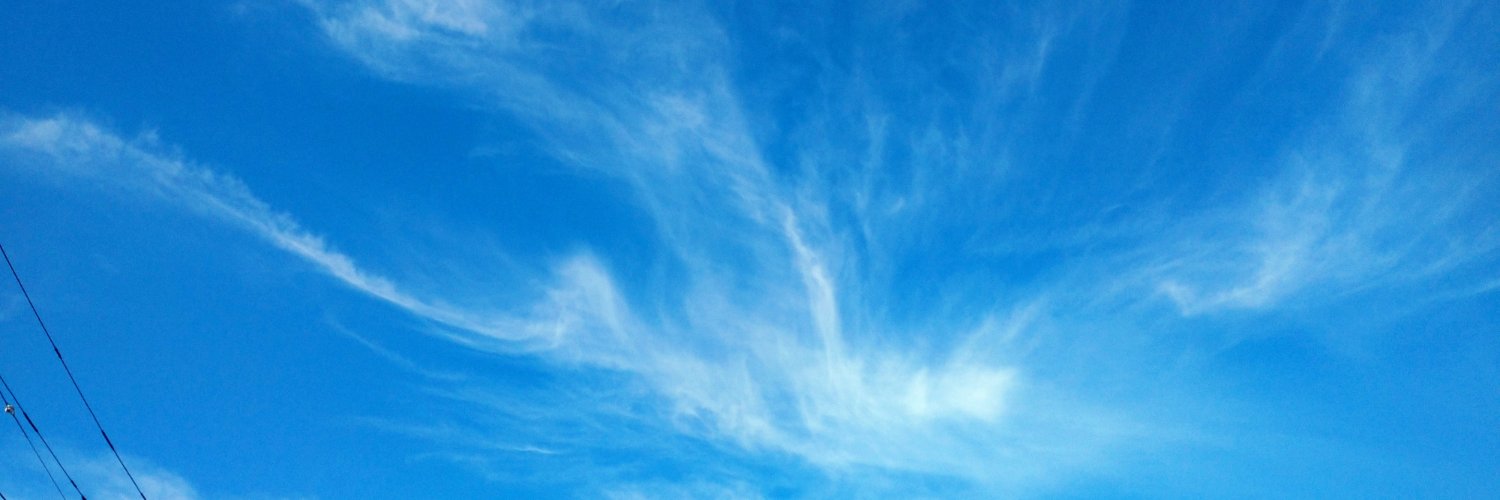 キセキれいたん🐦️🌞 banner