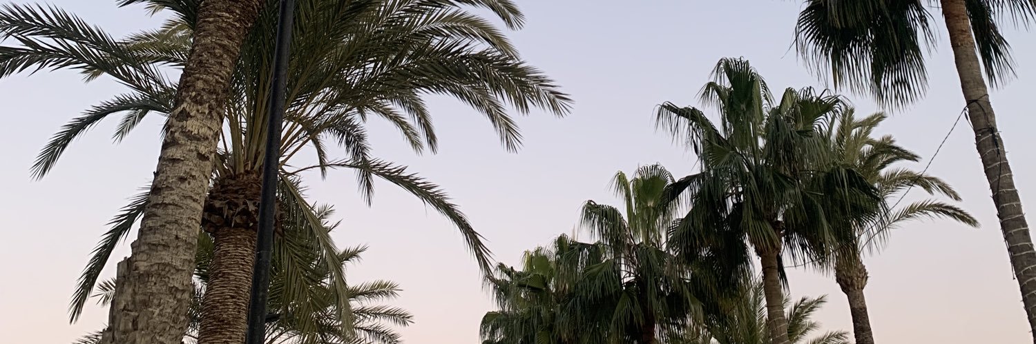 vnvreli's profile banner image