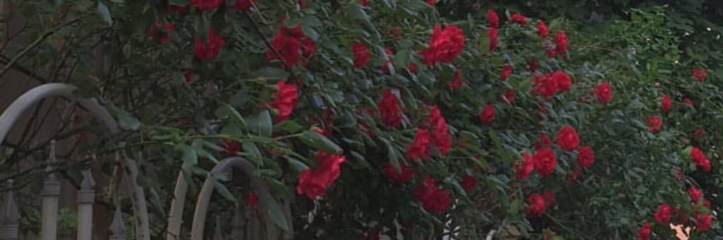 35sup's profile banner image