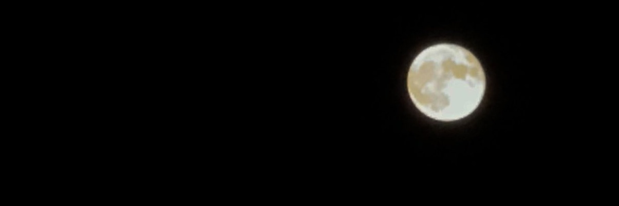 𝑺𝑶𝑳𝒀𓂀 banner