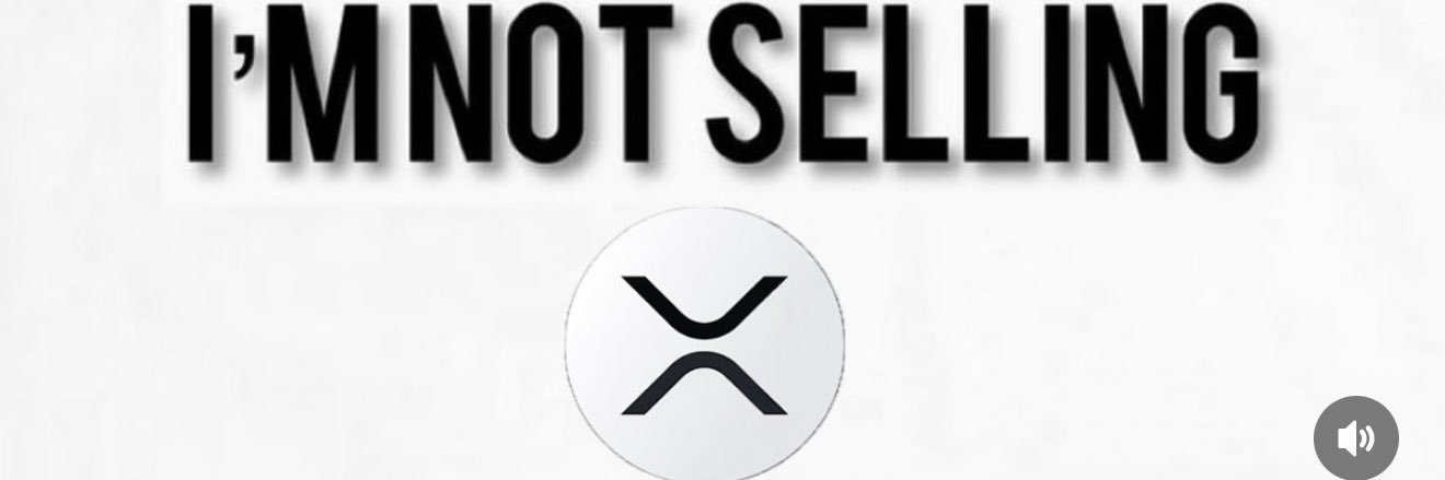 San banner