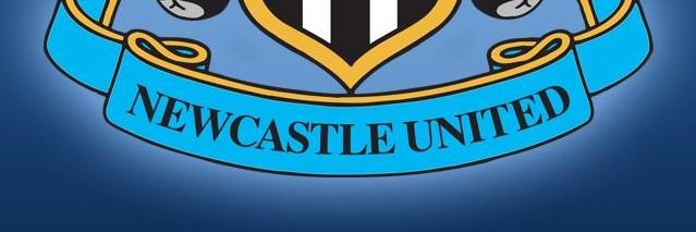 Non Wokie banner