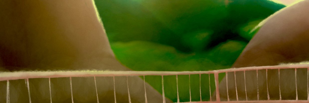 Alvyxii's banner