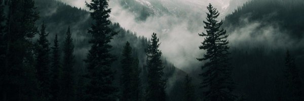 SimoZachary Profile Banner