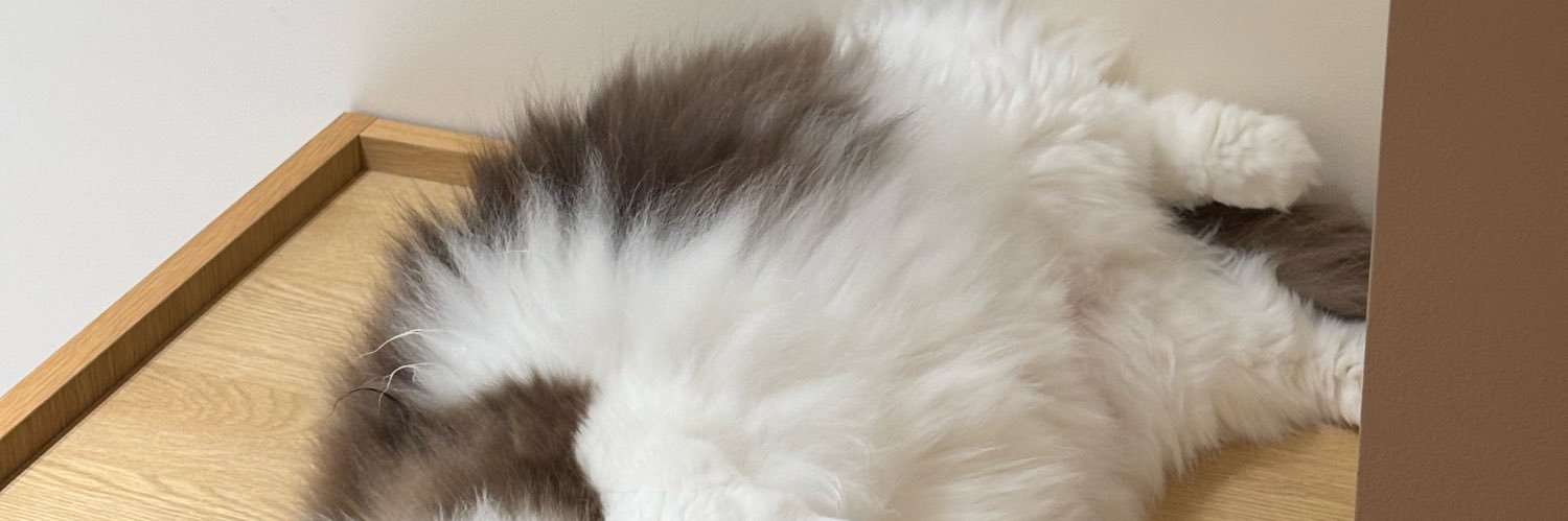 もんちか banner