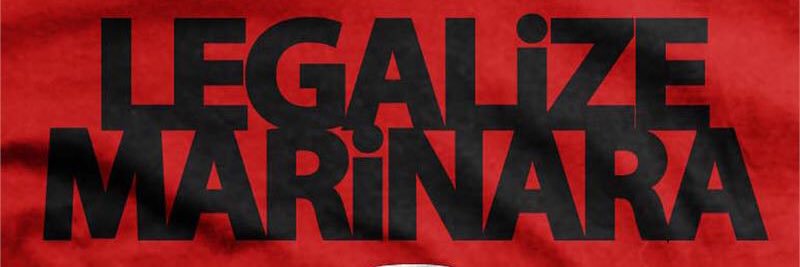 oliviadicar's profile banner image