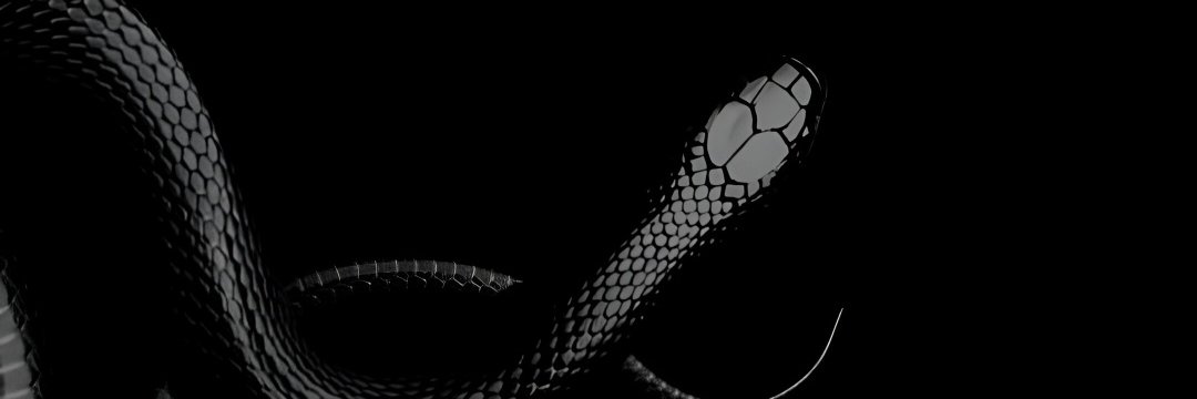 bubibubbles's profile banner image