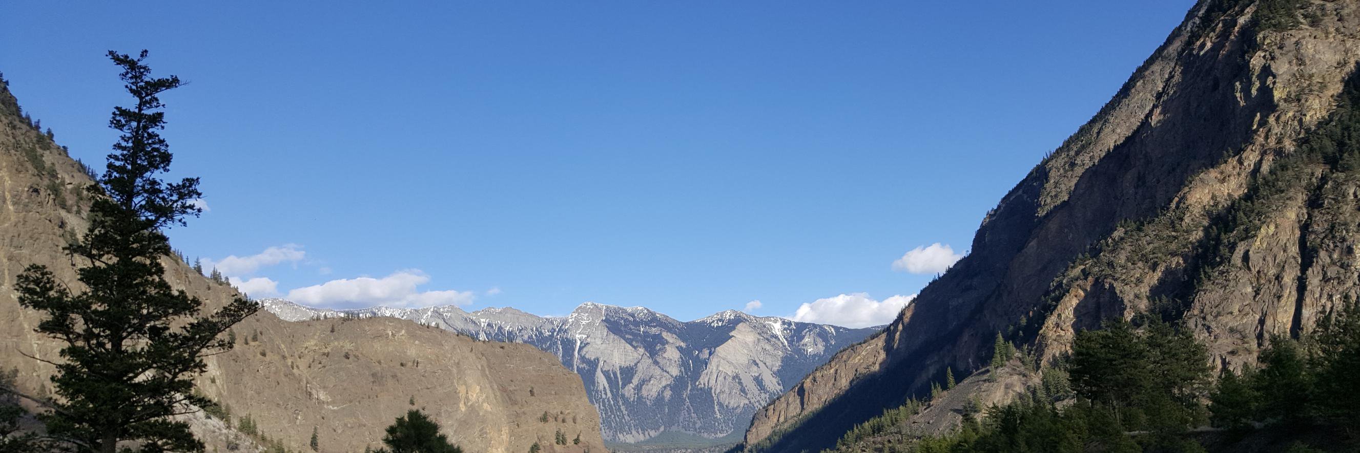 tyroder's profile banner image