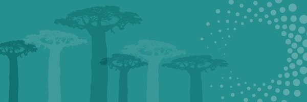 CoDigiAf Profile Banner