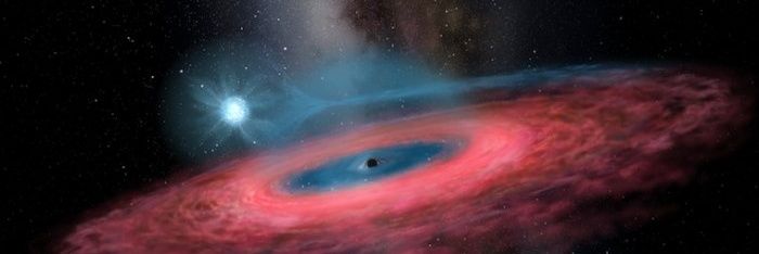 AnHonestFraud banner