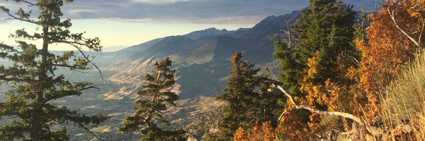 wilbert_haley Profile Banner