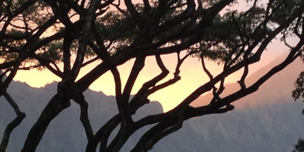 ZackDeyo's profile banner image