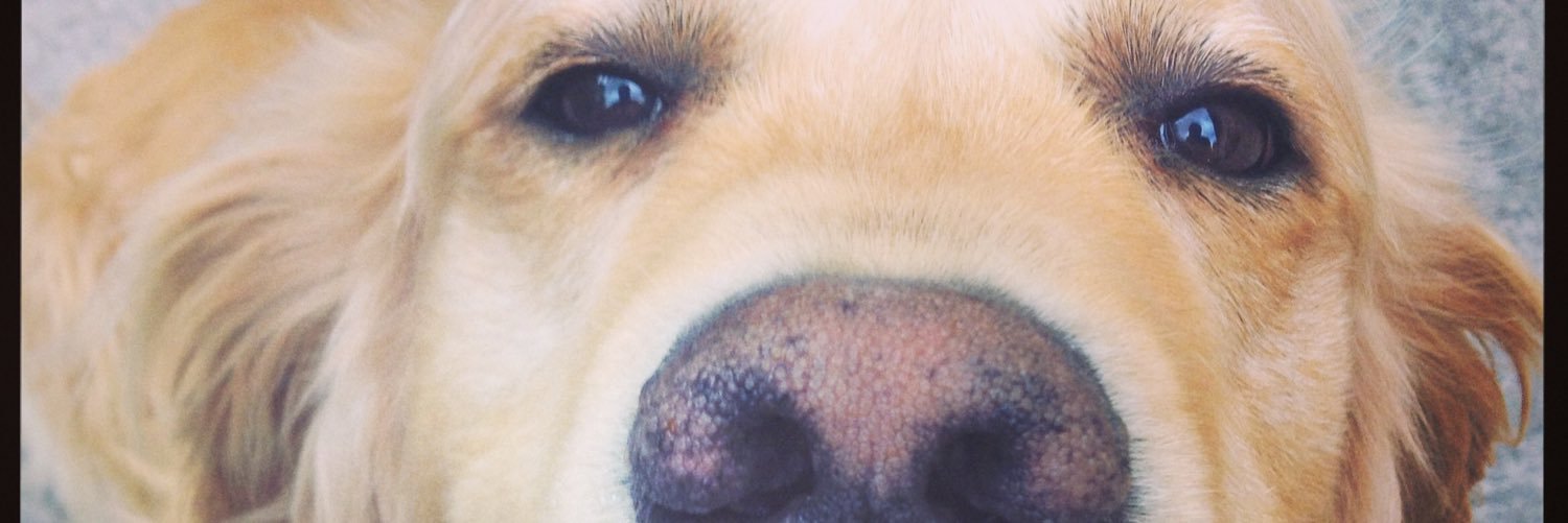 Gabs!! banner
