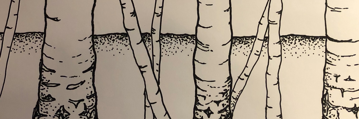 Tilly Collins banner