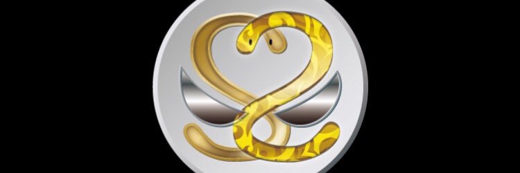 shakeys_info's profile banner image