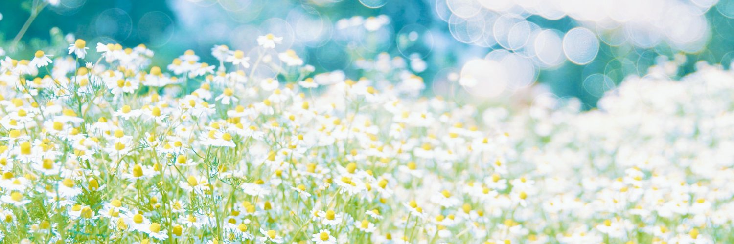 key_co0820's profile banner image