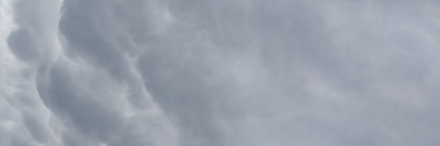DianaBea_'s profile banner image