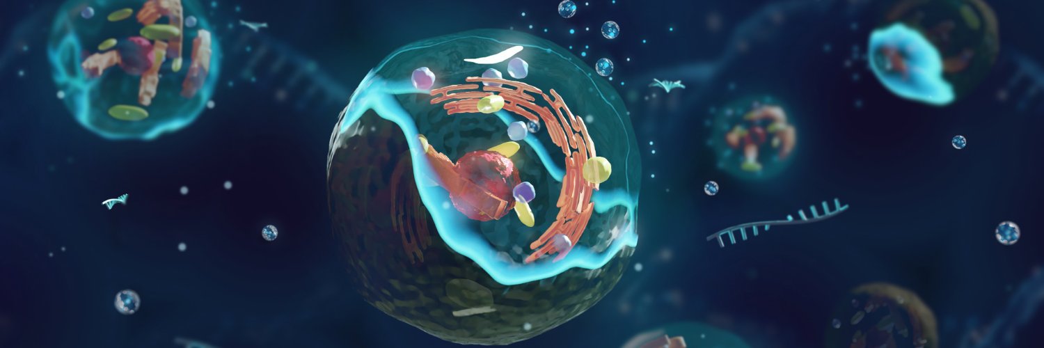 Boris Djordjevic banner