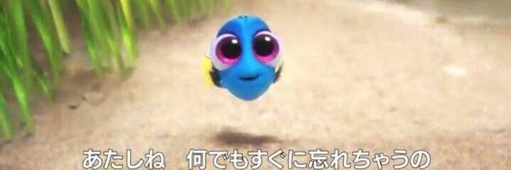 コンペイトウのちゃあんとしたサブ垢 banner