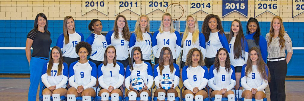 DSCVolleyball's profile banner image