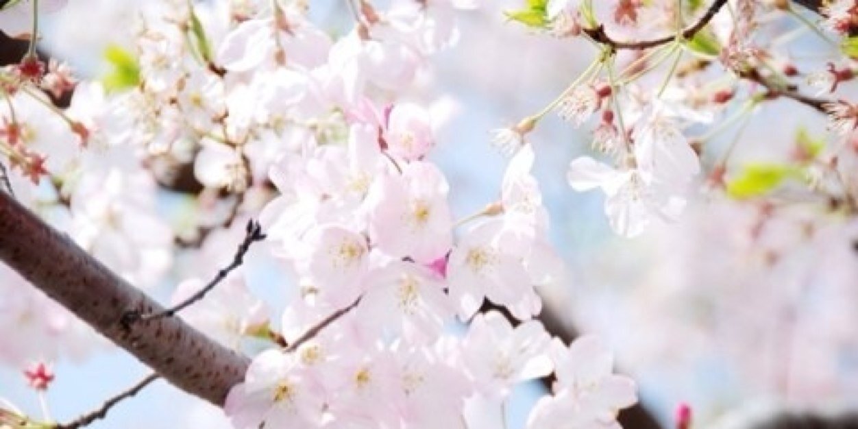 kmkdream's profile banner image
