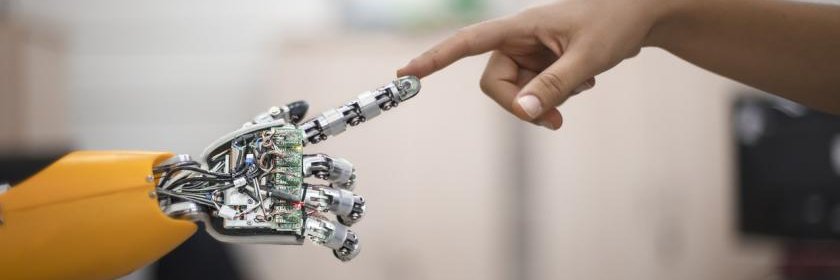 Pietro Vitiello banner