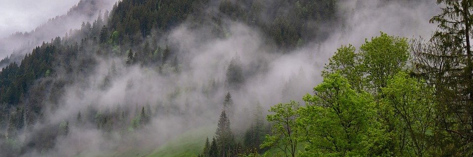 Llyn75's profile banner image