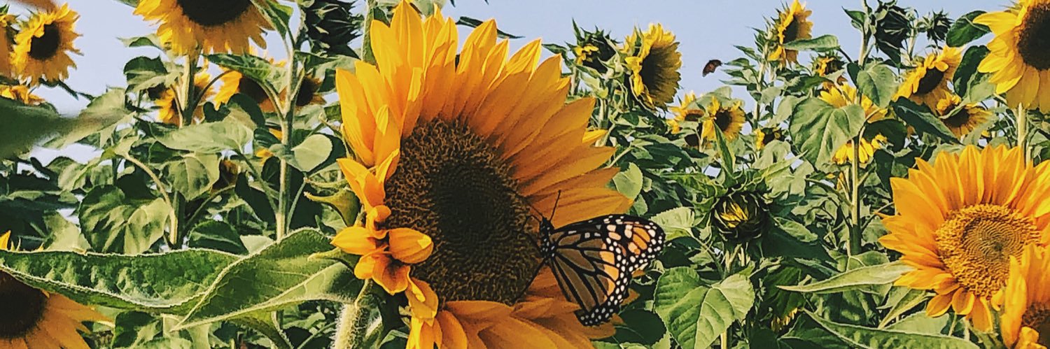 kaylene_713's profile banner image