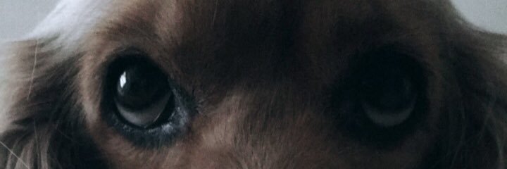 zumragurel's profile banner image