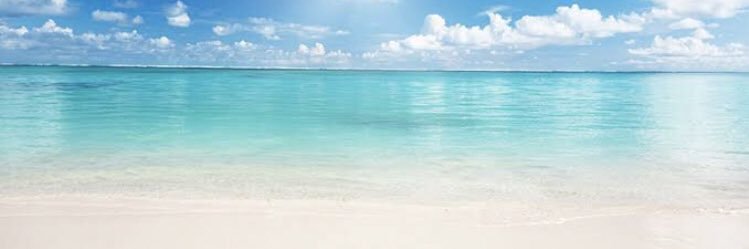 TheUnbarbar banner