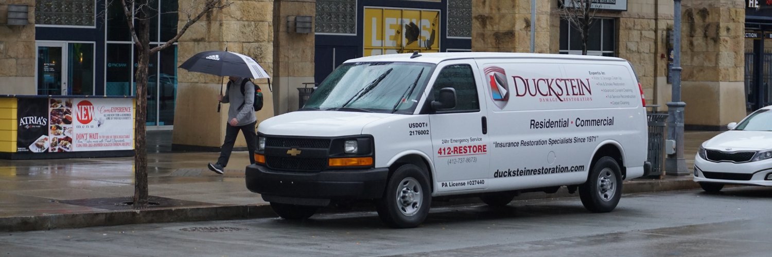 DucksteinRestoration banner