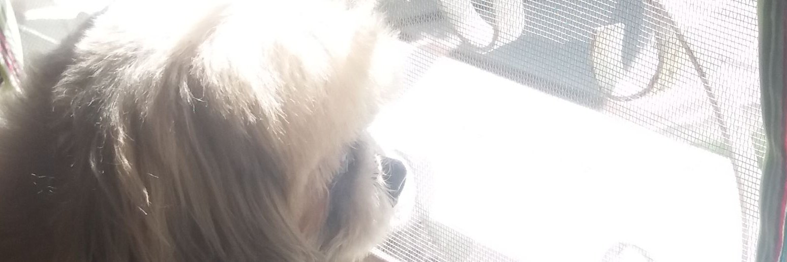 jissselleee's profile banner image