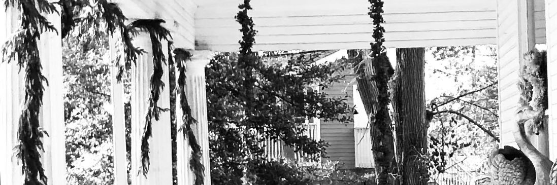 imvanessarose's profile banner image