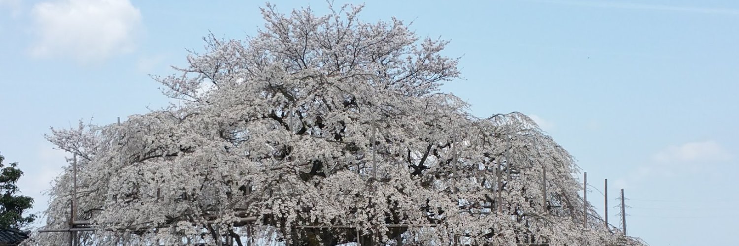 yamanow's profile banner image